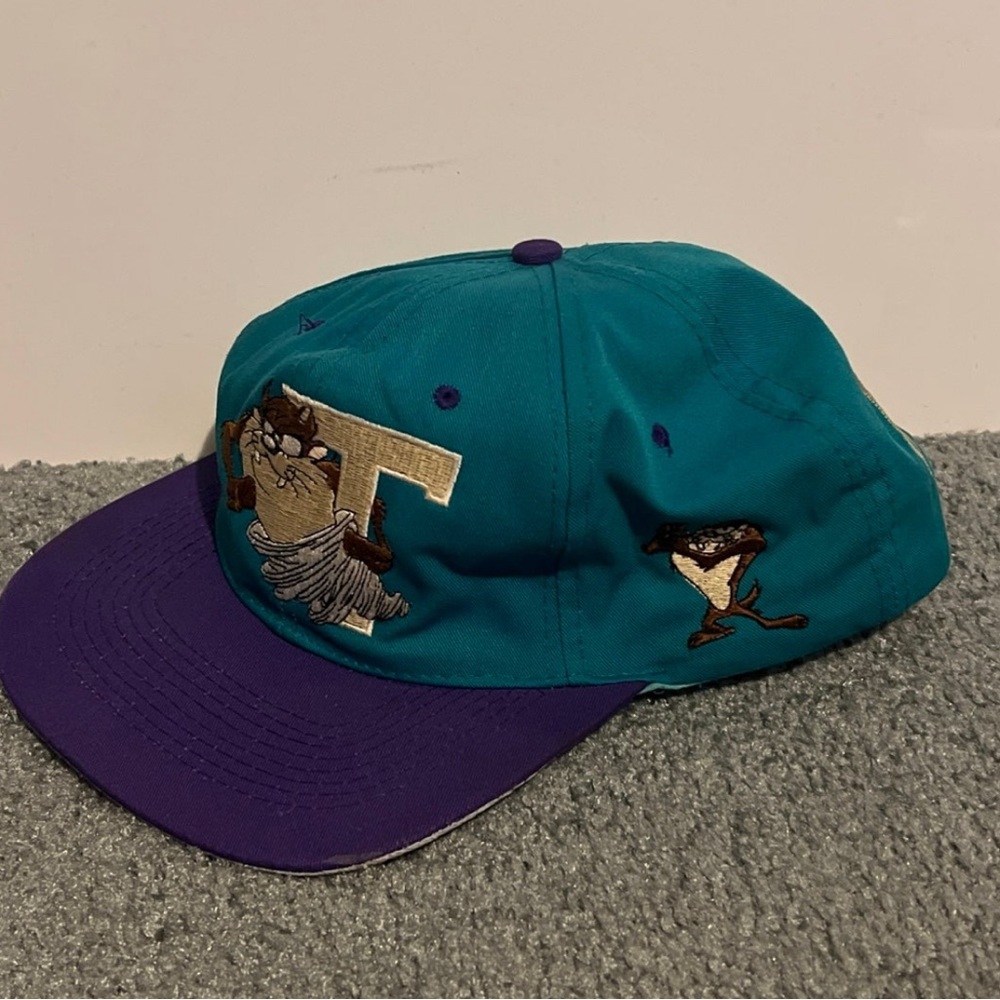 Vintage Looney Tunes “TAZ” hat